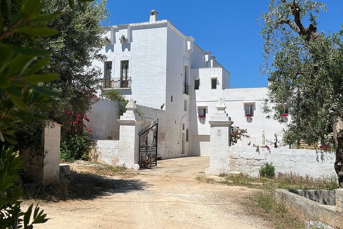 Tour of the oil mill with tasting - Inside the traditional oil mill