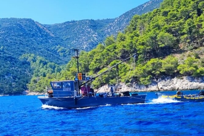 Traditional Mengo Fishing & fish picnic Hvar - Practical Details and Tips