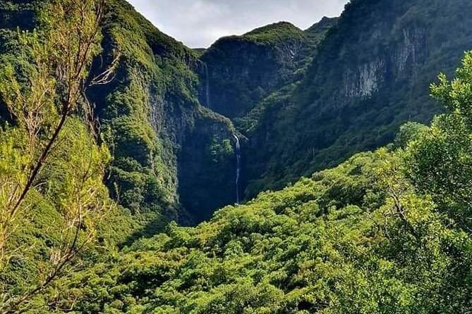 Transfer Rabacal 25 Fontes & Risco Levada Self-Guided - Who This Tour Is Best For