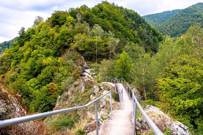 Transylvania Day Trip from Bucharest: In Search of Count Dracula - Who Will Appreciate This Tour?