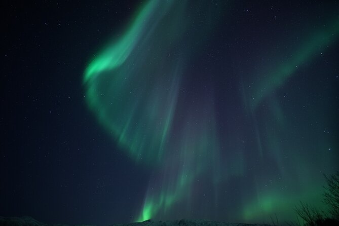 Tromsø: Evening Cruise with Northern Lights Opportunity - Who Should Consider This Tour?