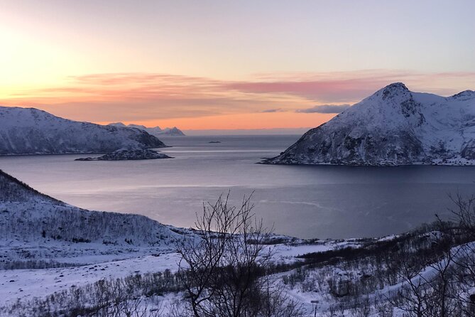 Tromsø: Fjords Tour with campfire and photos - Why This Tour Stands Out