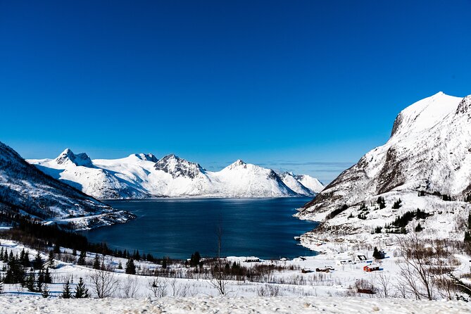 Tromso-Snowshoeing Excursion to Viewpoint - Who Is This Tour Best For?