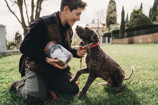 Truffle hunt in Chianti with cooking class and sunset dinner - The Sum Up