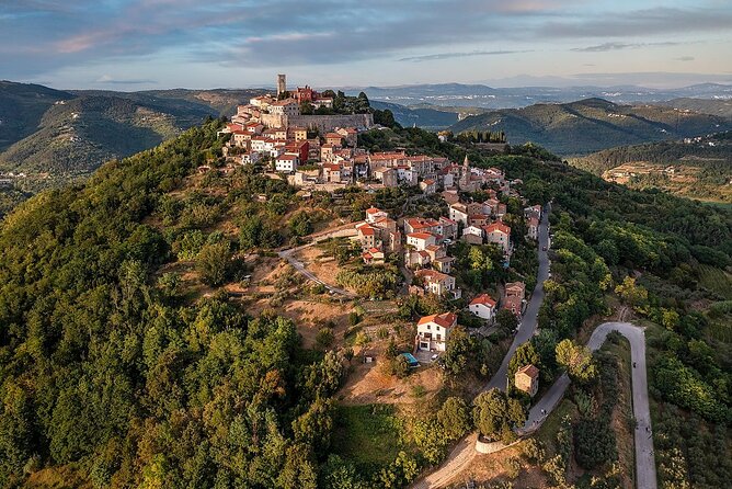 Truffle hunting tour from Rijeka - The Truffle Hunt: A Forest Adventure