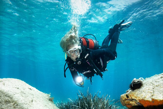 Try Dive - Scuba Diving with a private guide, incl. photos - The Itinerary and What You Can Expect