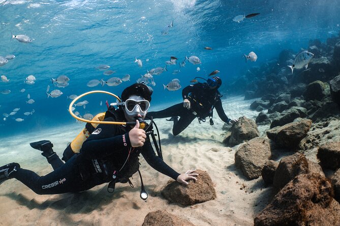 Try Scuba Diving | 1 dive - Analyzing the Cost & Value