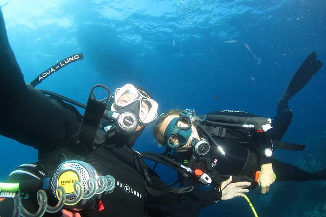 Try Scuba Diving - Real Experiences from Participants
