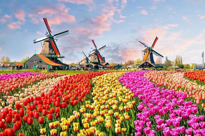 Tulip Paradise: Keukenhof Half-Day Private Tour - The Itinerary in Detail