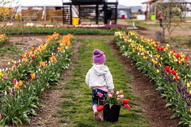 Tulip Valley Farms U Pick Experience - Final Thoughts