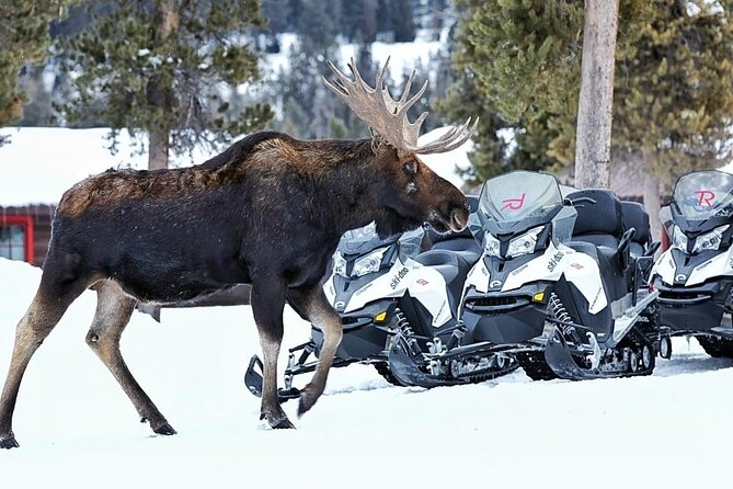 Turpin Meadow Ranch Snowmobiling in Jackson Hole - FAQs