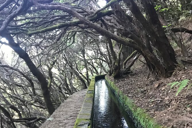 Twenty-Five Fountains Levada walks (private) - What You’ll See and Learn