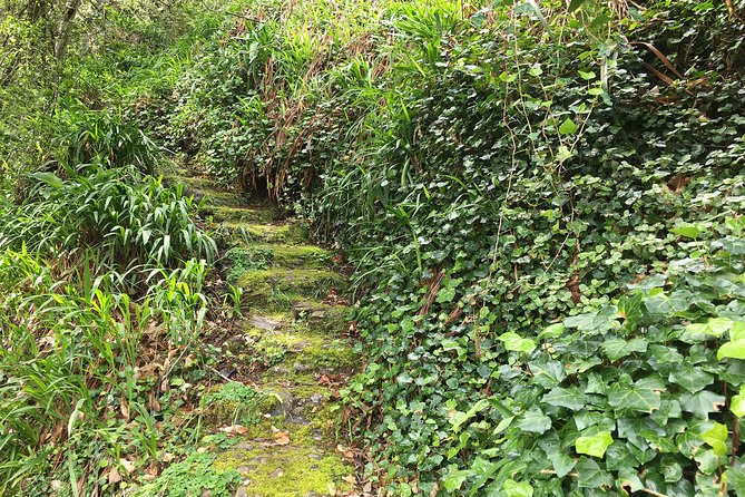 Vale Paraiso - Paradise Valley Walk - Who Should Book This Tour?