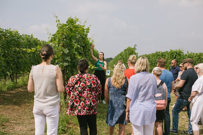 Valeggio: Sorsi dEstate, 3 young wines with guided tour - The Tasting: Sipping 3 Young Wines with Local Delights