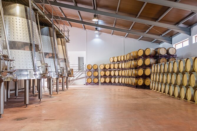Valencia: Barrels and dishes of typical local Gastronomy - An in-depth look at what you can expect