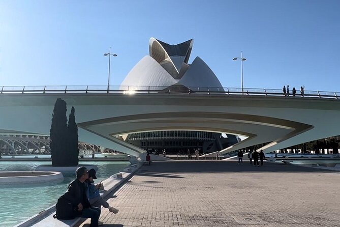Valencia: City of Arts and Sciences Private Walking Tour - Practical Details and What to Expect