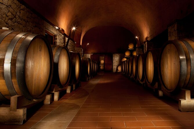 Valpolicella Lunch or Dinner Wine & Food tasting with Amarone - What Makes This Experience Stand Out