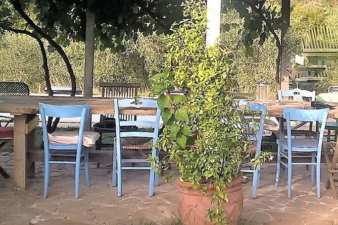 Vegetarian Cooking class in the Roman countryside - Practical Details