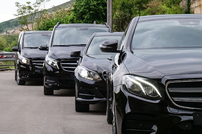 Venice Private Transfer to Ravenna Porto Corsini Cruise Terminal - The Vehicle and Comfort – What to Expect
