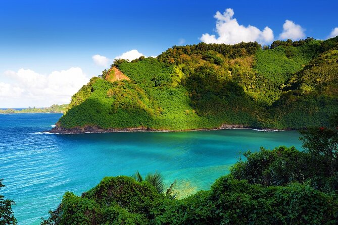 Viator Exclusive: Maui Tropical Rainforest Small Group Tour - Why This Tour Offers Great Value