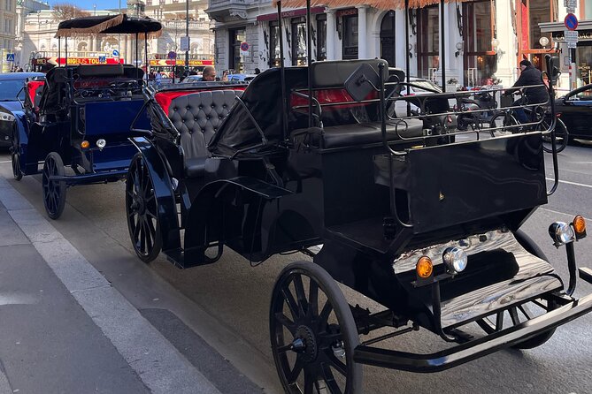 Vienna: 60 min. Royal E-Carriage Sightseeing Tour with Drinks - Final Thoughts