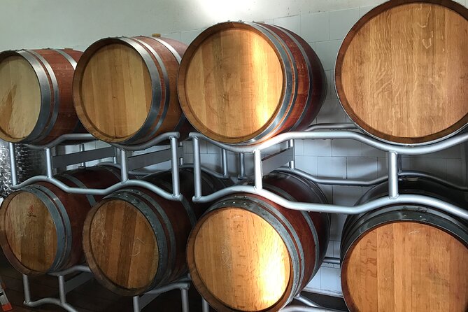 Vineyard experience in Pozzuoli - Why This Tour Stands Out