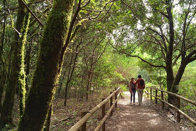 VIP experience in Magica Gomera - The Sum Up