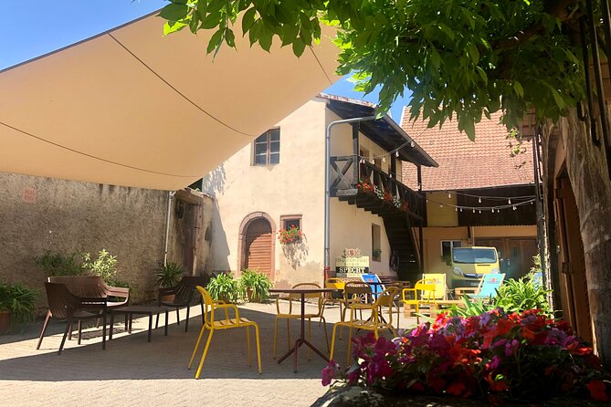 Visit and tasting of wines and cheese and charcuterie platter - Why This Tour Offers Great Value