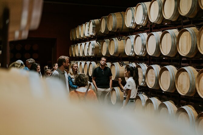 Visit La Joya Escondida de la Ribera del Duero Winery - Why Choose This Tour?