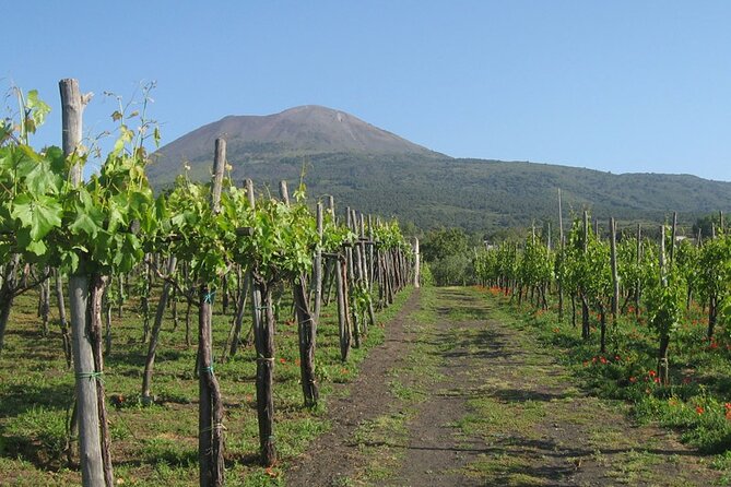 Visit Pompeii and Sorrento - Why This Tour Works Well