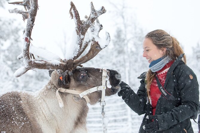 Visit the Sami and Reindeer in a Day Trip from Abisko - Final Thoughts