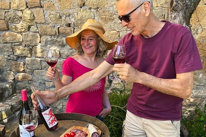 Visit to the Faugères Vineyards with Picnic from Béziers - A Deep Dive into the Faugères Experience