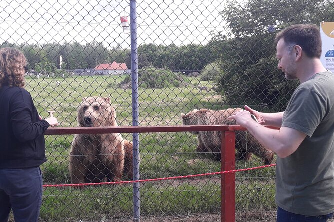 Visiting a Bear and Wolf Sanctuary - Practical Tips for Visitors