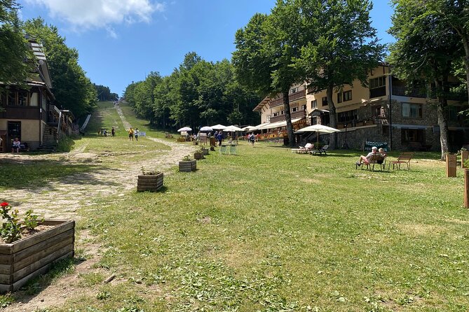 Walk on the volcano slopes - Enjoying the Mountain Climate and Local Cuisine