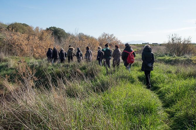 Walking tour in Diaccia Botrona - The Sum Up