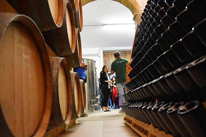 Wine Tasting and Guided Visit to the Vineyard and Cellar in S. Maria Imbaro - What We Loved About This Tour