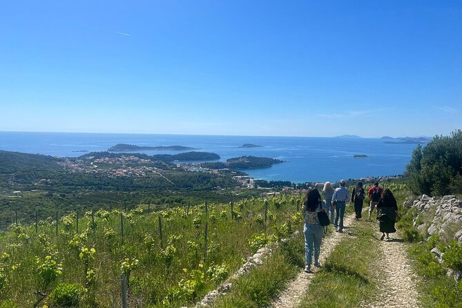 Wine Tasting in Konavle, Near Dubrovnik & Cavtat  Join Us! - The Itinerary: What to Expect