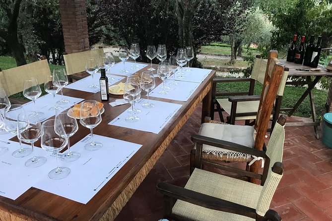 Wine tasting in Pisa with sommelier - The great wines of Tuscany - Who Should Book This Tour?