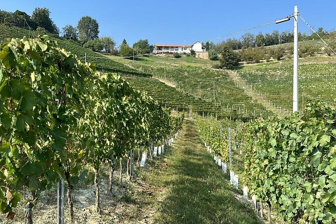 Wine Tour and tasting in the Monferrato - Premium - Final Thoughts