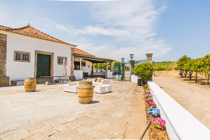 Winery, Tastings & 4WD Vineyards Ride, Half Day Trip from Lisbon - Who This Tour Is Best For