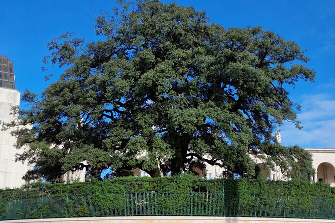 Wonderful Private Half-day tour in Fátima - FAQ