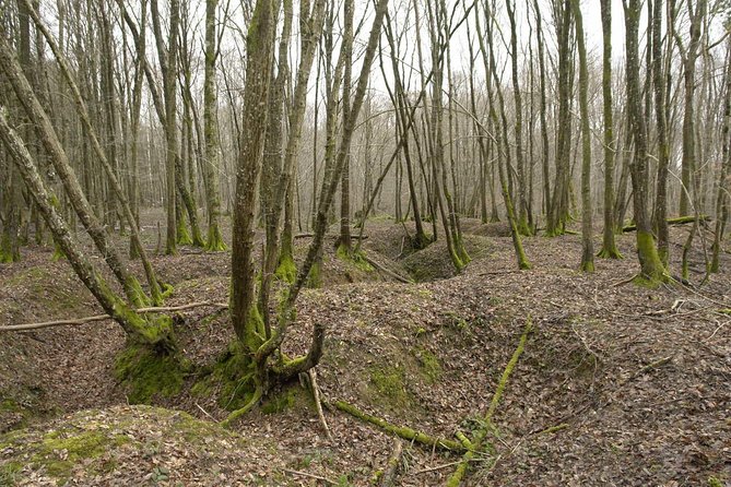 World War 1 Walk Through Trenches and Bunkers - What to Expect During the Tour