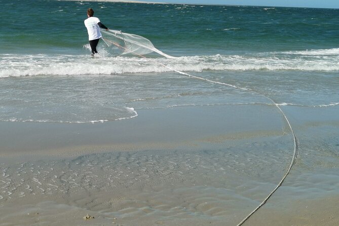 Zeeland Beach safari with Fishnet NL/DE - Why This Tour Offers Great Value