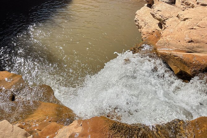 Zion Hummer Tour to Zion Waterfall with swimming - Analyzing the Cost: Is It Worth It?