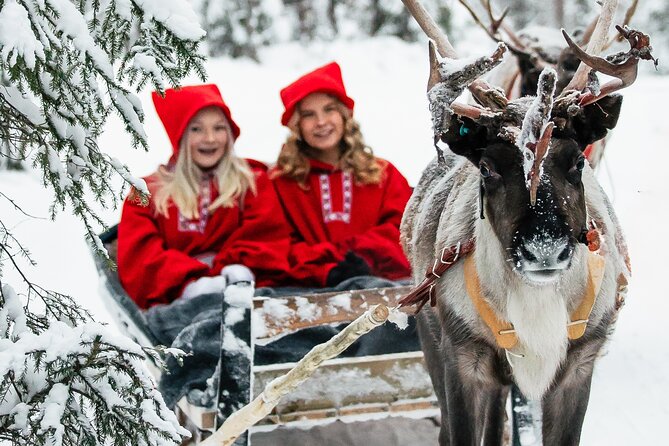 2km Sleigh Ride & Feeding Experience at Traditional Reindeer Farm - Good To Know