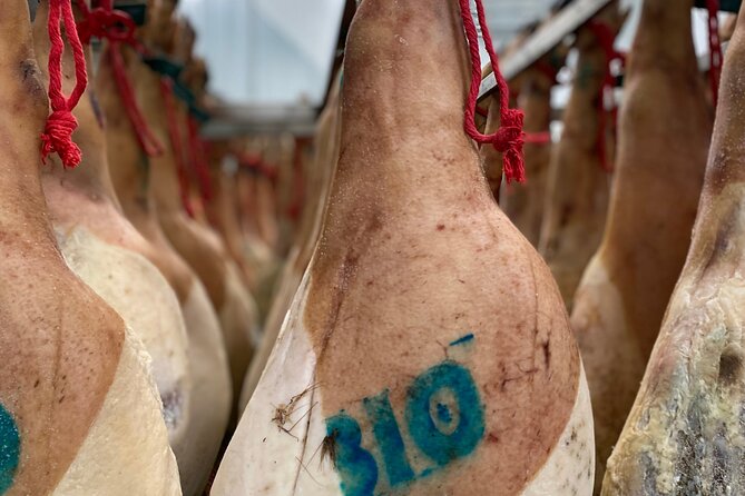 3-Day Rural Experience in the Valley of Ocón - An In-Depth Look at the Experience