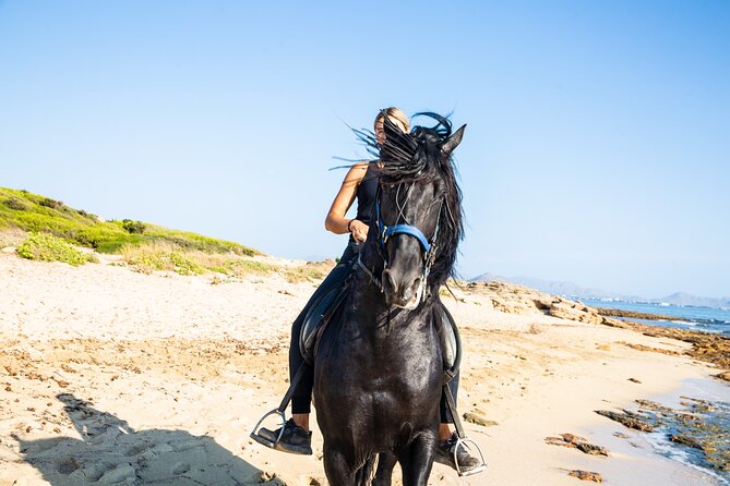 3-Hour Beach Horse Riding to Discover the Beauty of Alcudia Bay - Good To Know