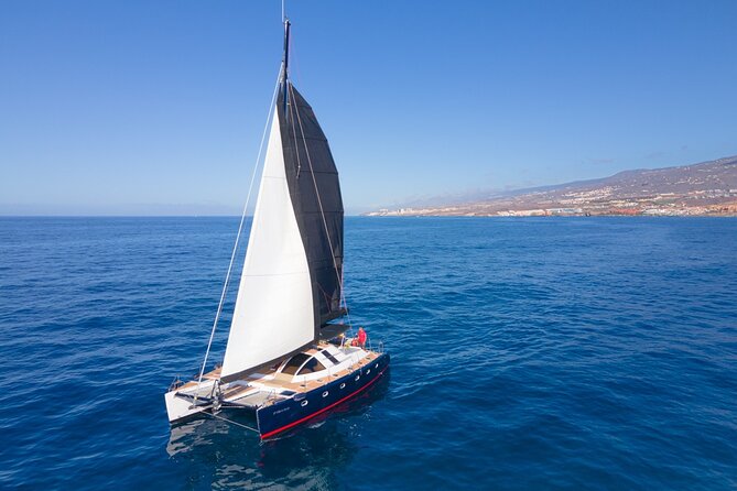 3 hrs. Whale Watching and Relaxing Chill Out Catamaran with glass floor - Introduction: A Delightful Way to Explore Tenerife’s Marine Life