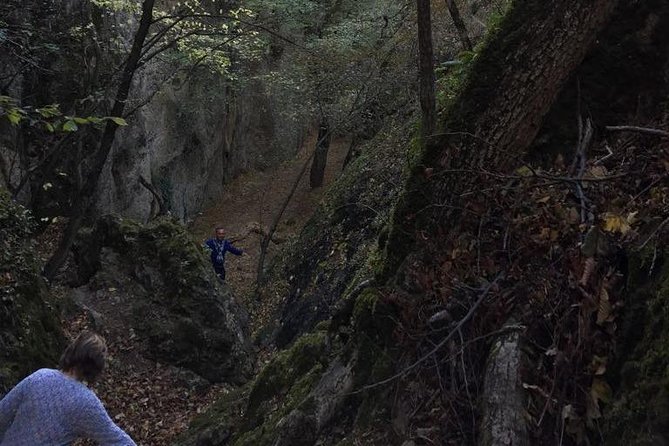 1 day hiking in Birtvisi Canyon from Tbilisi - The Realities from Reviews