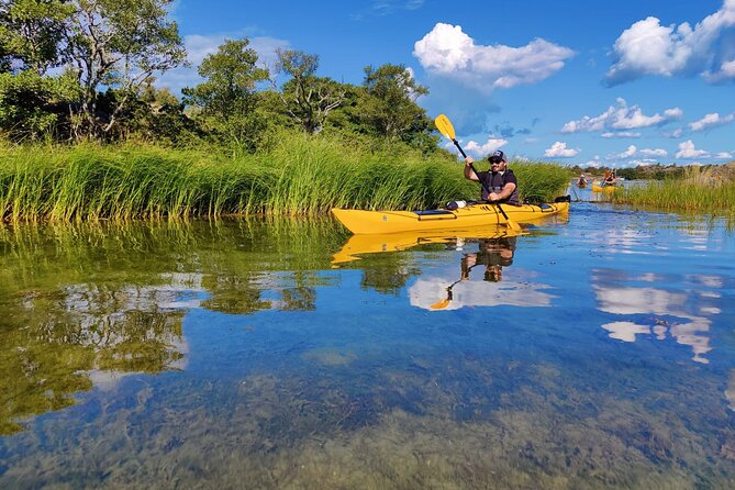 1-Day Small-Group Stockholm Archipelago Kayak Tour - Practical Details and Tips